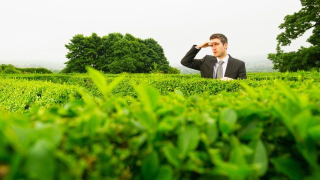 Navigating the Complex Tax Landscape for High Earners