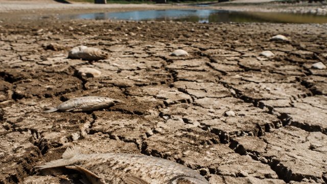 Europe Faces Record-Breaking Heatwave: What It Means for the Future